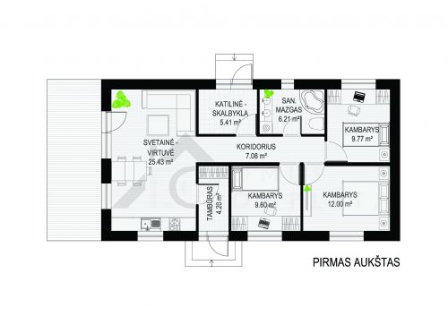 PIRMAS AUKSTAS