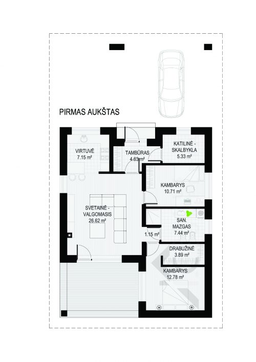PIRMAS AUKSTAS