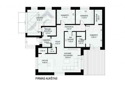 PIRMAS AUKSTAS
