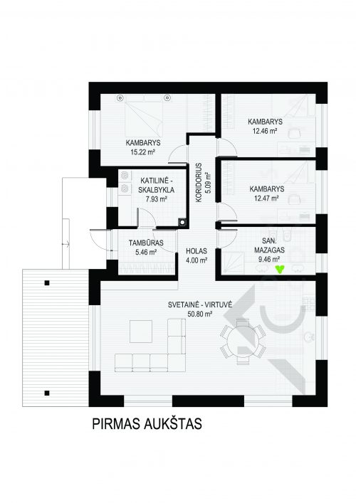 PIRMAS AUKSTAS