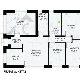 PIRMAS AUKSTAS