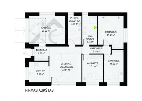 PIRMAS AUKSTAS