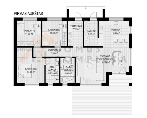 PIRMO AUKSTO PLANAS