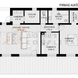 PIRMAS AUKSTAS
