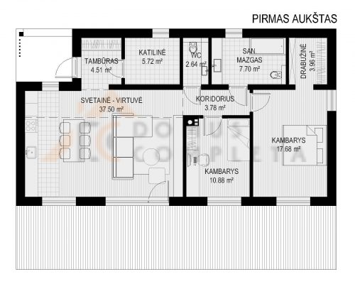 PIRMAS AUKSTAS