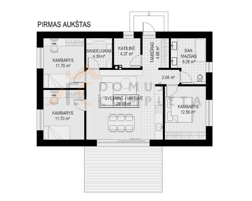PIRMO AUKSTO PLANAS